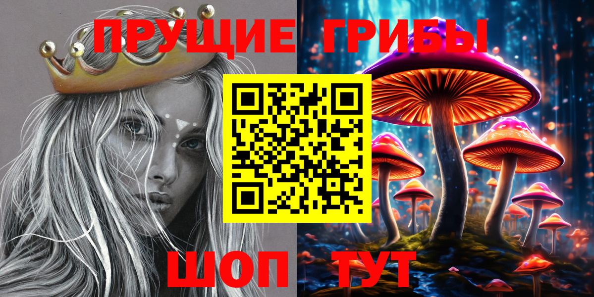 Тосно  Галлюциногенные грибы Magic Shrooms  Вход с VPN  Псилоцибиновые грибы Psilocybe 